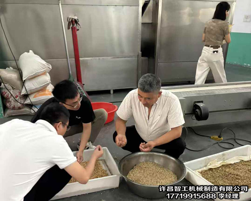 安徽客戶來(lái)廠試機(jī)電磁流水線炒貨機(jī)炒制薏仁米